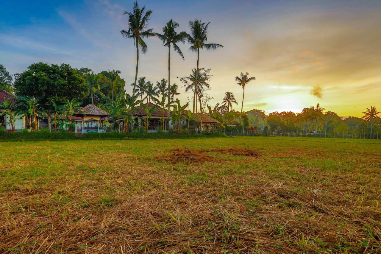 Villa Kaba Kaba Resort ชังกู ภายนอก รูปภาพ
